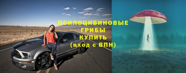 соль ск Волосово