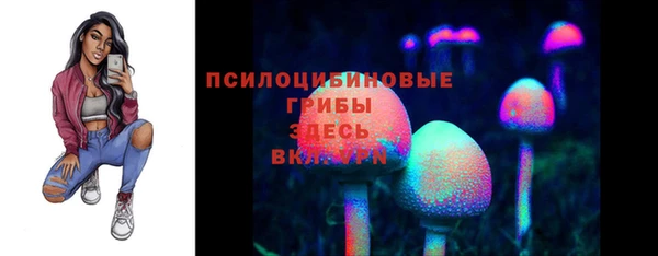 крисы Протвино