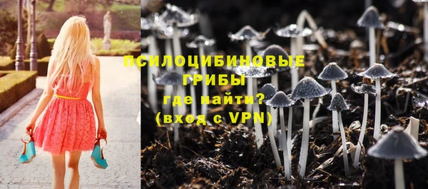 дурь Володарск