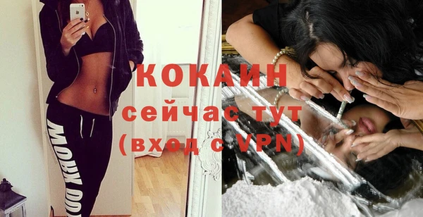 соль ск Волосово