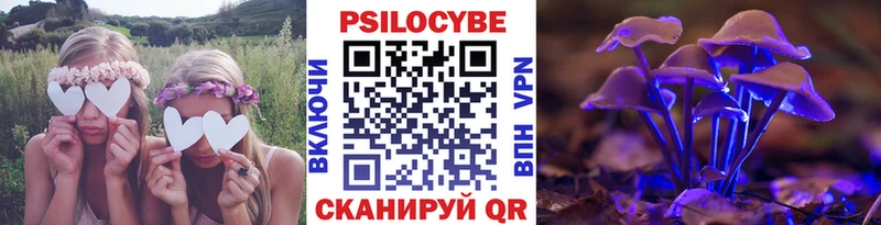 omg   где найти наркотики  Каргополь  Псилоцибиновые грибы Magic Shrooms 